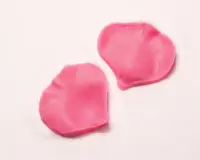 Molde de silicón de pétalos y hojas de flor — 014-40G - Imagen 1